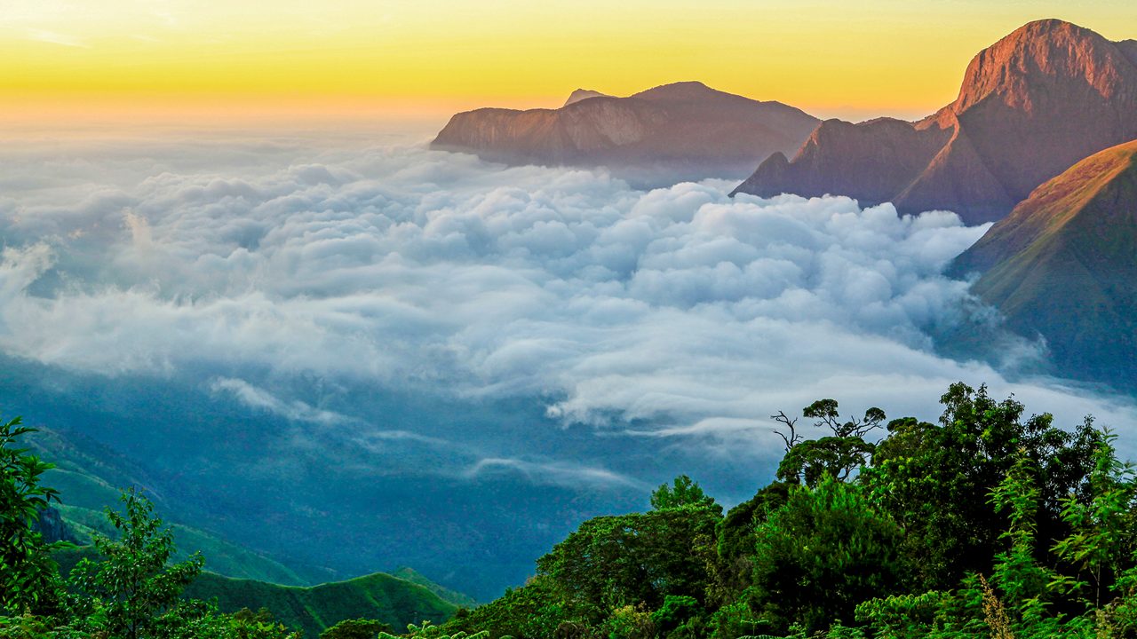 munnar hills view